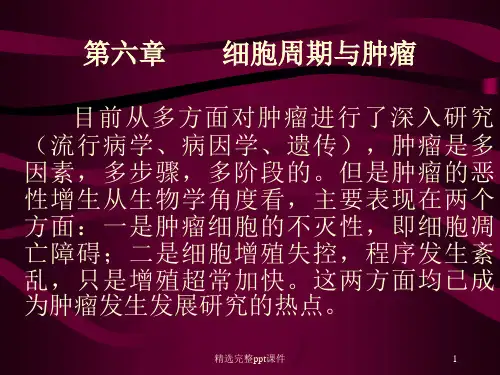 1-6第六章细胞周期与肿瘤
