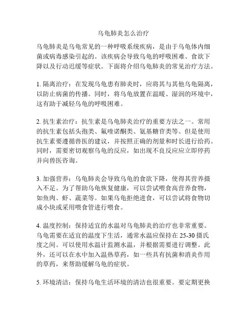 乌龟肺炎怎么治疗