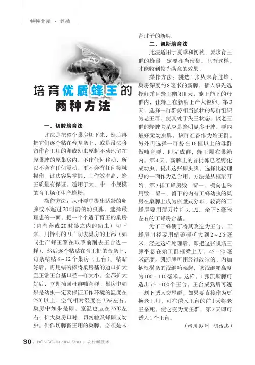 培育优质蜂王的两种方法