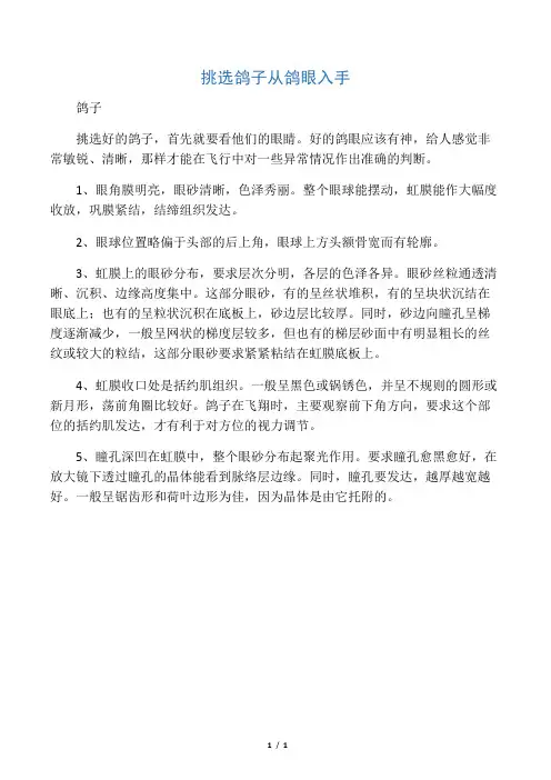 挑选鸽子从鸽眼入手