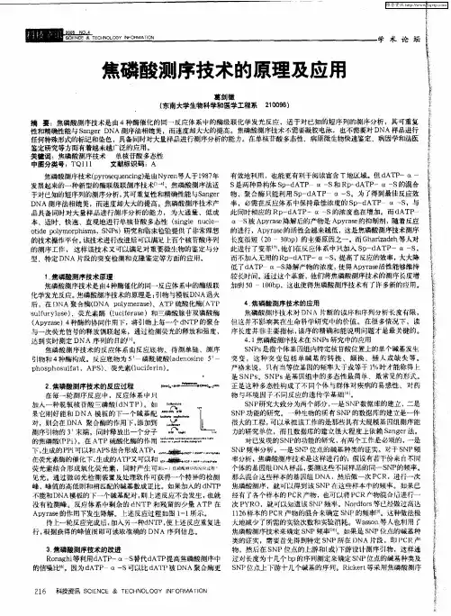 焦磷酸测序技术的原理及应用