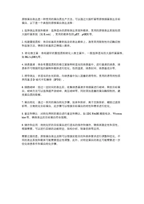 原核蛋白表达流程