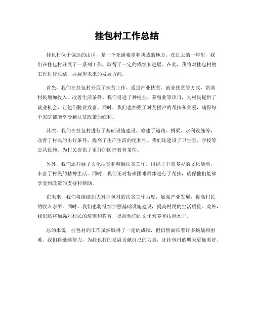挂包村工作总结