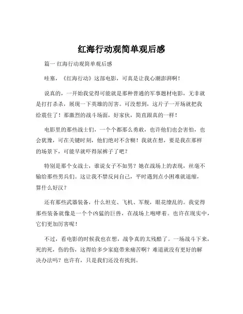 红海行动观简单观后感