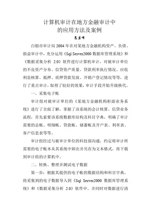计算机审计在地方金融审计中的应用方法及案例