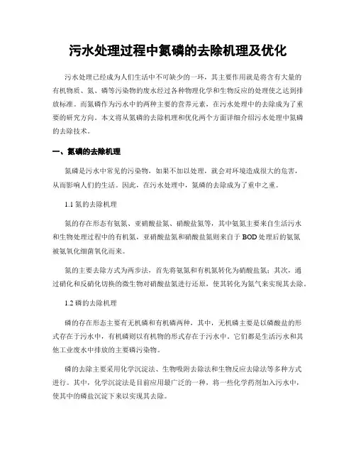 污水处理过程中氮磷的去除机理及优化