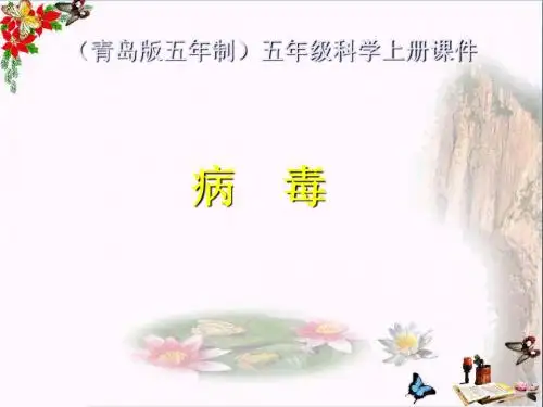 六年级科学上册病毒ppt课件5青岛版