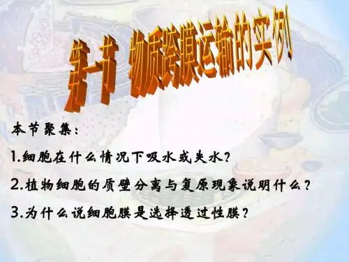 人教版教学课件第1节 物质跨膜运输的实例课件