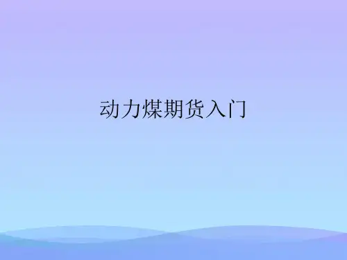 2021动力煤期货入门实优秀PPT资料