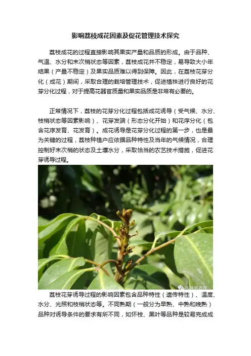 影响荔枝成花因素及促花管理技术探究