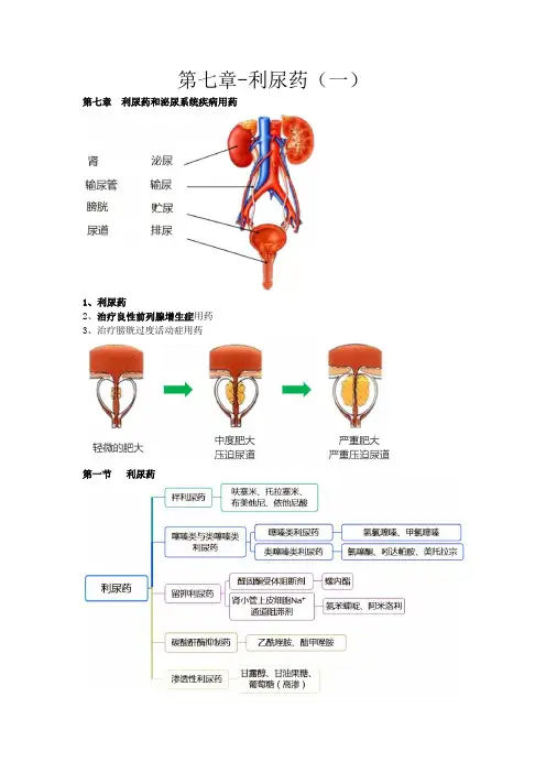 执业药师考试药学专业知识(二)考试资料-利尿药(一)