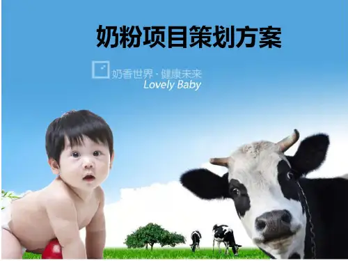 奶粉营销推广项目方案.pptx