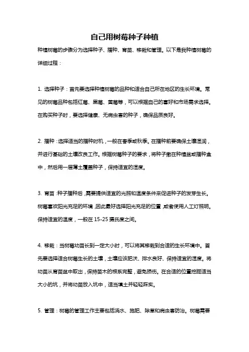 自己用树莓种子种植