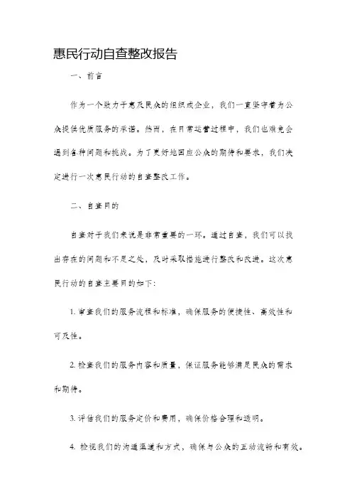 惠民行动自查整改报告