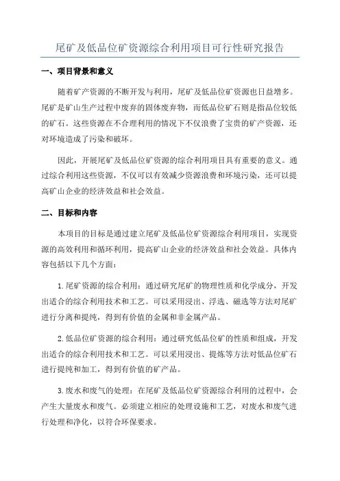 尾矿及低品位矿资源综合利用项目可行性研究报告