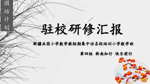国培计划-研修汇报PPT课件