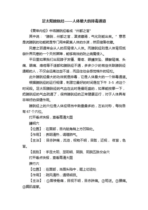 足太阳膀胱经——人体最大的排毒通道