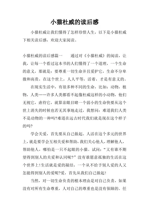 小猫杜威的读后感