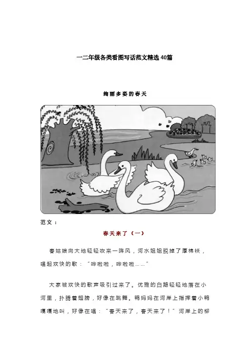 一二年级各类看图写话范文精选40篇