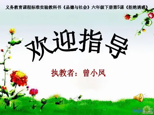 六年级下册 品德与社会 第五课 《拒绝诱惑》 ppt课件