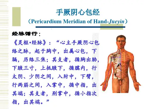 经络腧穴各论-9手厥阴心包经及其腧穴