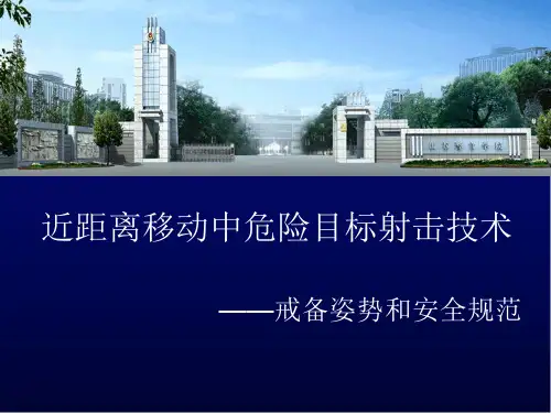近距离移动中危险目标射击技术——戒备姿势和安全规范