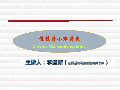 慢性肾小球肾炎演讲ppt