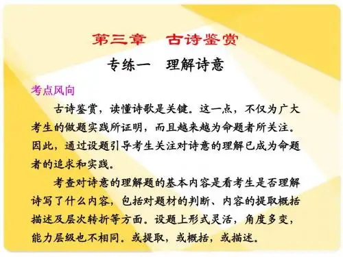 高考语文复习79：理解诗意3