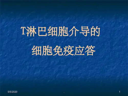 细胞免疫应答ppt课件