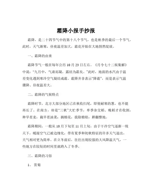 霜降小报手抄报