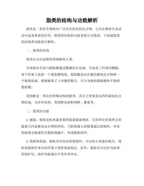 脂类的结构与功能解析