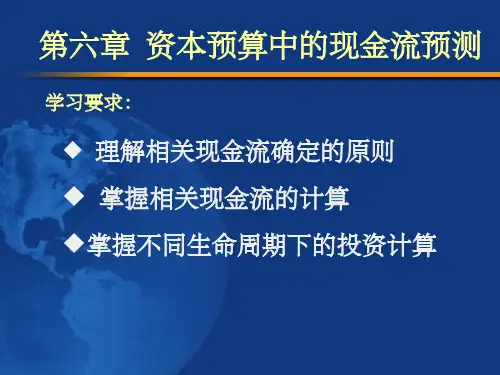 《净现值法》PPT课件