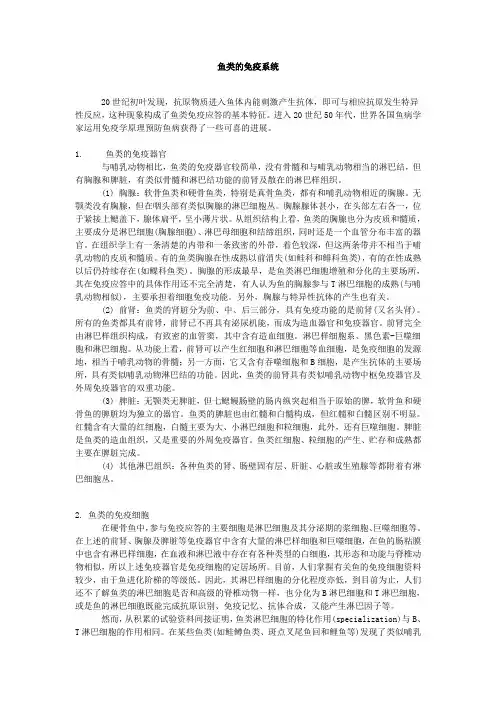 鱼类免疫1