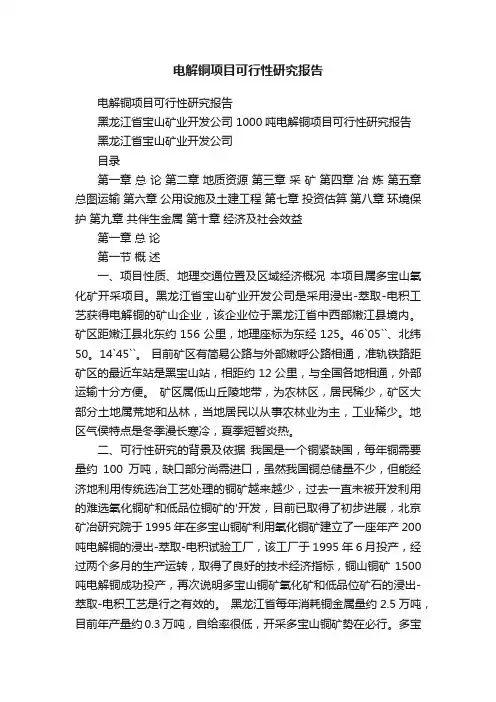 电解铜项目可行性研究报告