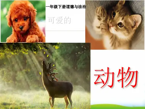 【部编版】新《可爱的动物》PPT-优质课件1