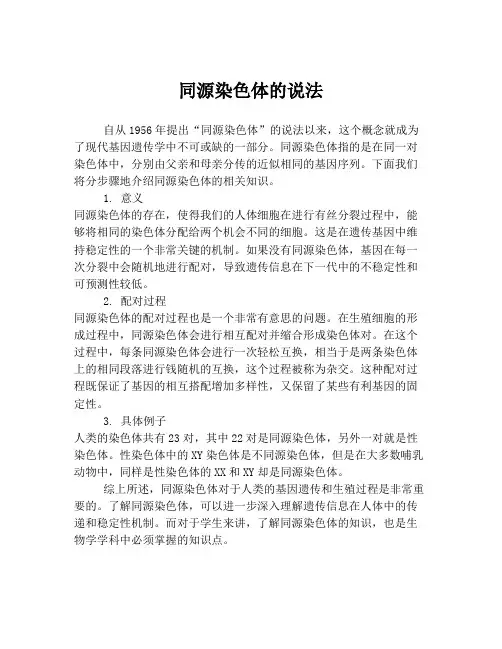 同源染色体的说法