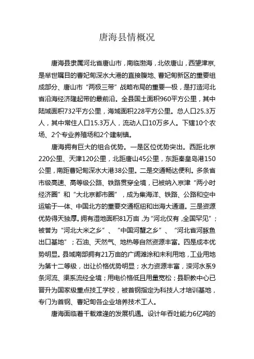唐海概况