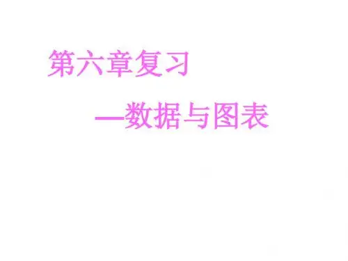 第六章 数据与图表 复习课课件