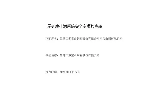 尾矿库排洪系统专项检查表