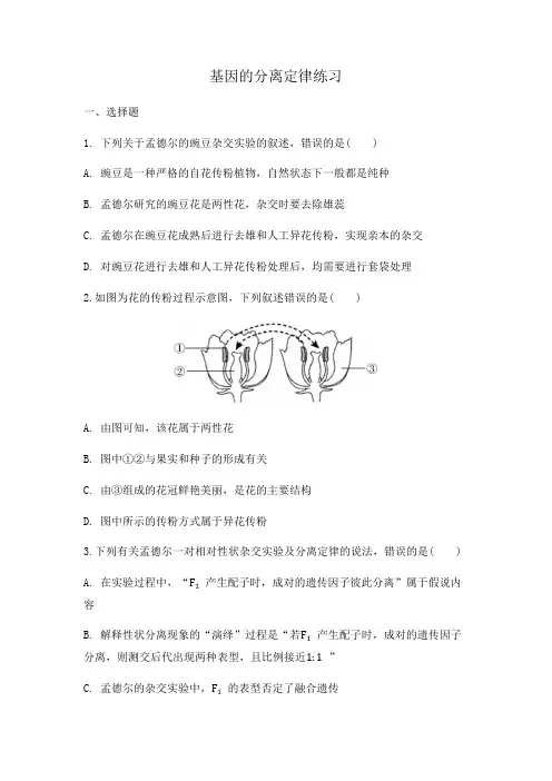 2024届高中生物一轮复习练习：基因的分离定律
