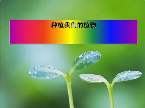 《种植我们的植物》植物的生长变化PPT课件