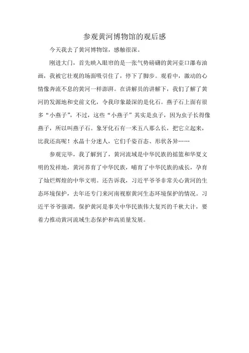 参观黄河博物馆的观后感