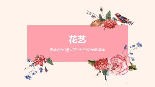 花艺基础知识ppt课件