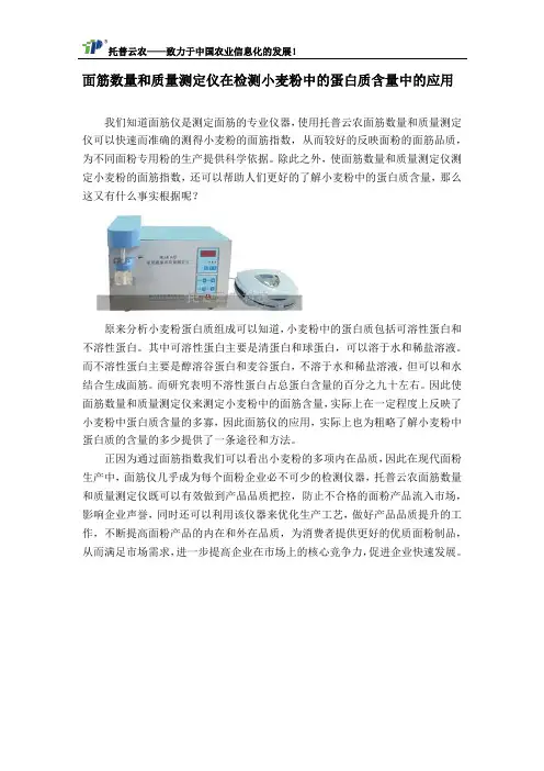 面筋数量和质量测定仪在检测小麦粉中的蛋白质含量中的应用
