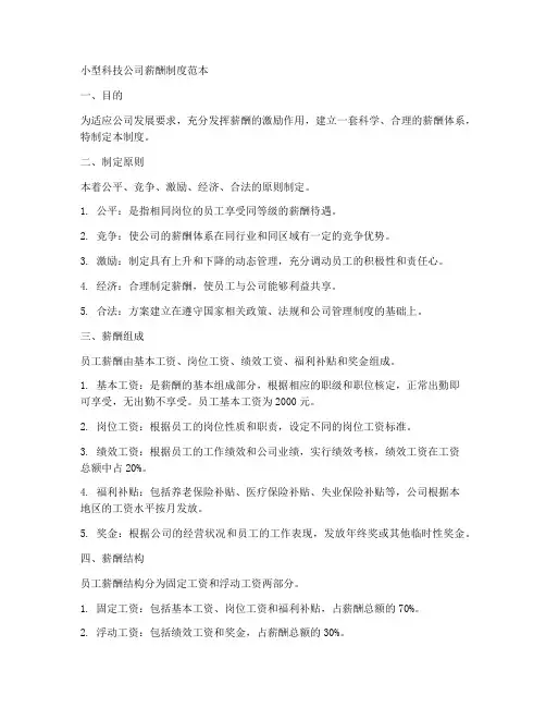 小型科技公司薪酬制度范本