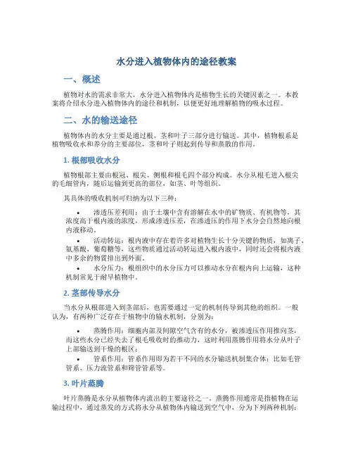 《水分进入植物体内的途径》教案