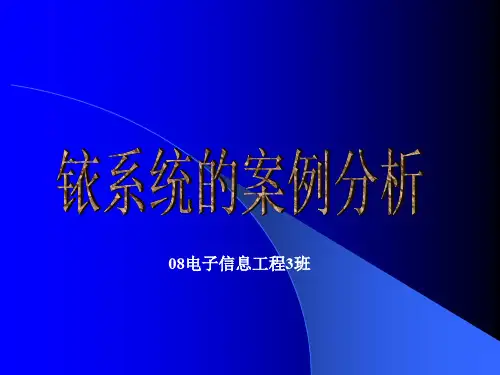 铱星系统案例分析