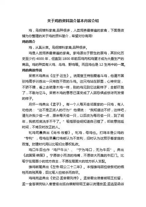 关于鸡的资料简介基本内容介绍