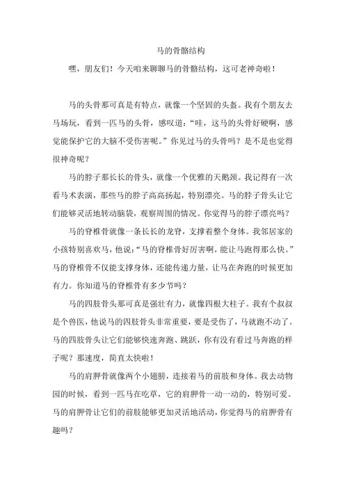 马的骨骼结构