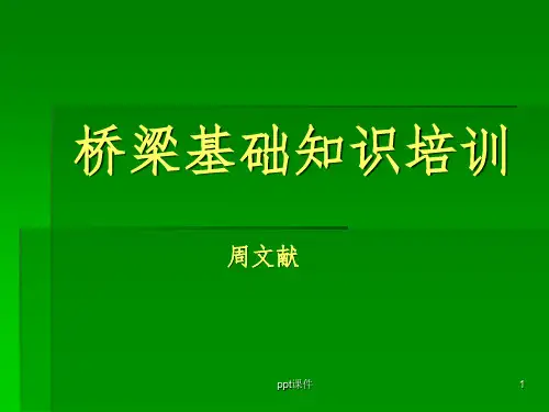 《桥梁基础知识培训》PPT课件